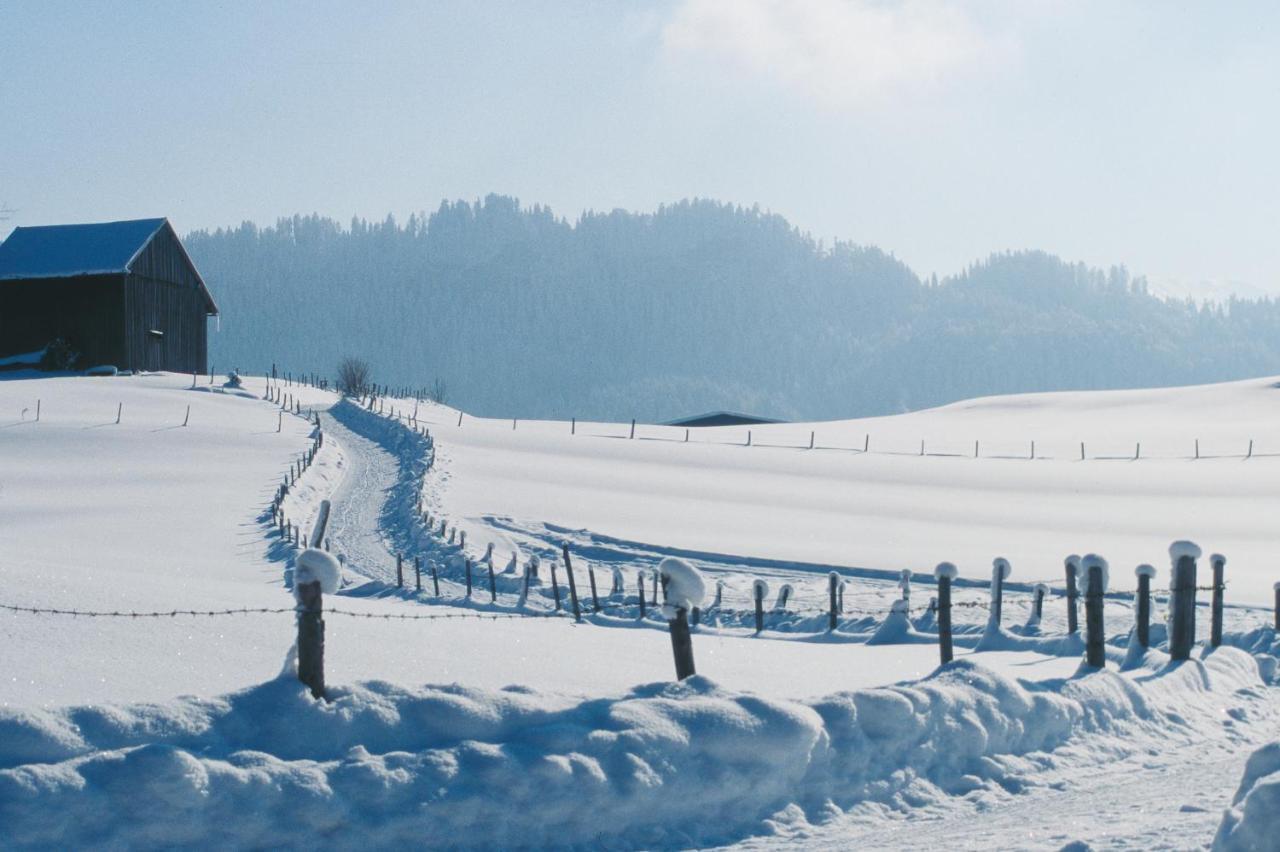 Sonnen Ferienwohnung Alpine und Sonnenwinkel in Obermaiselstein, 4 Sterne Klassifiziert, WLAN gratis, großer Balkon mit Bergsicht, ruhig und doch zentral gelegen, tolle neu renovierte Ferienwohnung mit separaten Schlafzimmer, Brötchenservice, Parkpla Exterior foto